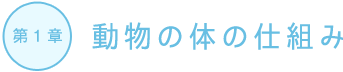 動物の体の仕組み