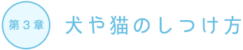 犬や猫のしつけ方