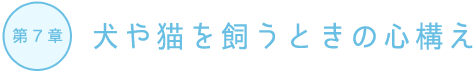 犬や猫を飼う時の心構え