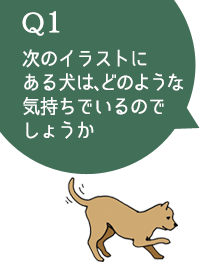 動物,犬,猫,しつけ,飼い方,育て方,病気,健康